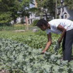 Detroit, urban farming