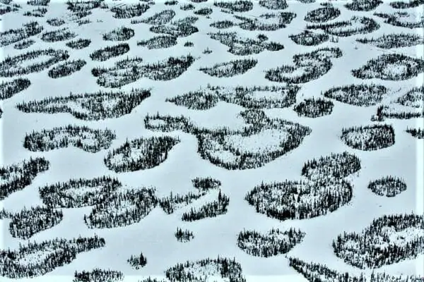 tar sands, oilsands, Alex MacLean, boreal forest, Alberta