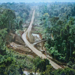 Colombia: Stunning Amazonian Prehistoric Rock Art | WilderUtopia.com