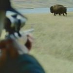 Blackfoot, buffalo, bison, hunting