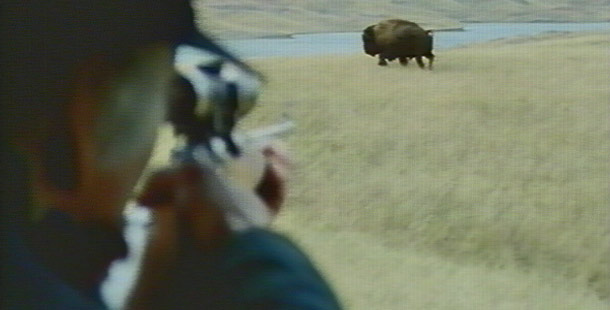 Blackfoot, buffalo, bison, hunting