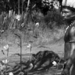 Embrace of the Serpent, Ciro Guerra, Nilbio Torres