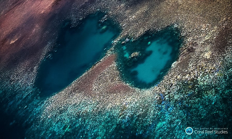 Great Barrier Reef Bleaching 2016, Ted Hughes