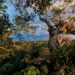 Steve Winter, Yasuni National Park, Ecuador, Amazon