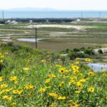 Newport Banning Ranch