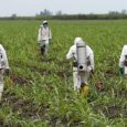 Law firm releases trove of "secret documents" detailing Monsanto employees' attempts to influence writers and scientists on the safety of the popular, and carcinogenic, herbicide Roundup.