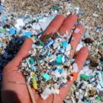 plastic pollution, EcoJustice Radio, 5 gyres