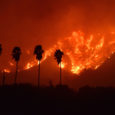 As California continues with massive wind-driven, high-intensity wildfires that often turn deadly, the governmental and institutional response has been to thin forests and "grind up vegetation" to fight fires. Naomi Pitcairn points to a movement by plant community and wildfire experts led by the Richard Halsey of the Chaparral Institute to focus on protecting vulnerable communities rather than trying to control nature, which now faces extreme heatwaves and droughts from an unpredictable greenhouse-gas-warmed climate.