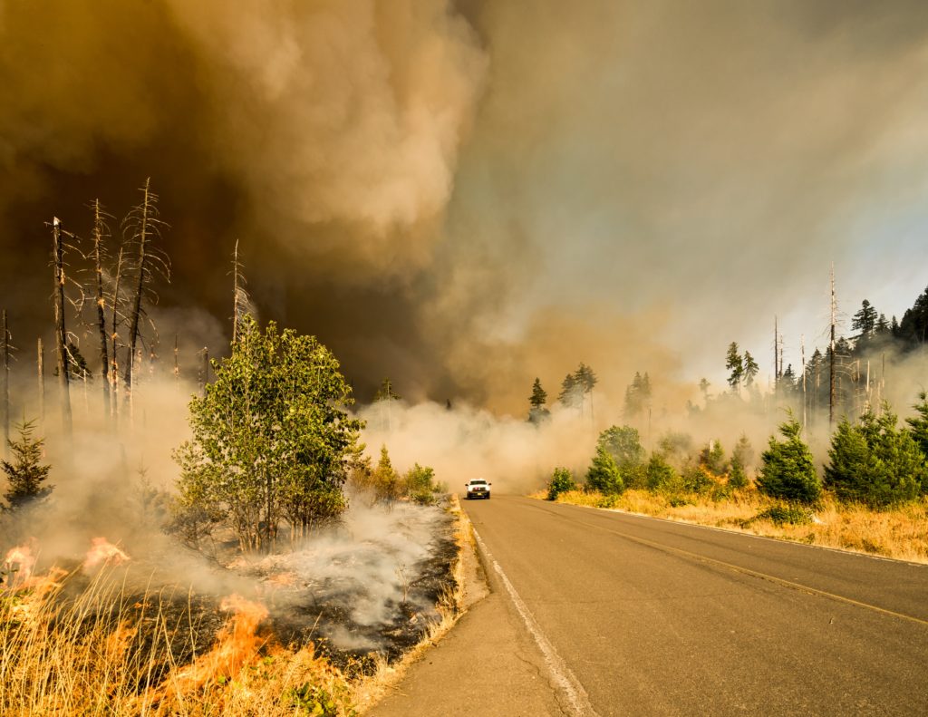 wildfire, california, marcus kauffman