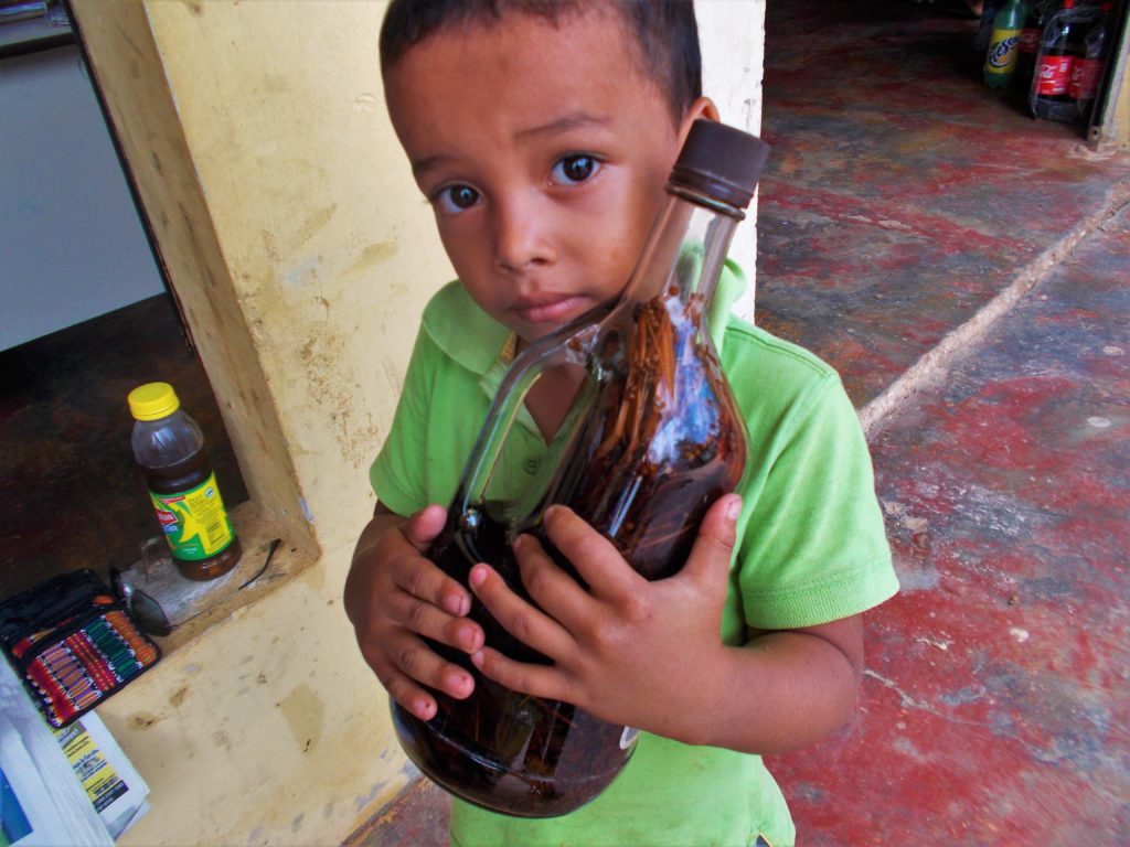 plant medicine, ghifiti, Miskitu, Garifuna, Honduras