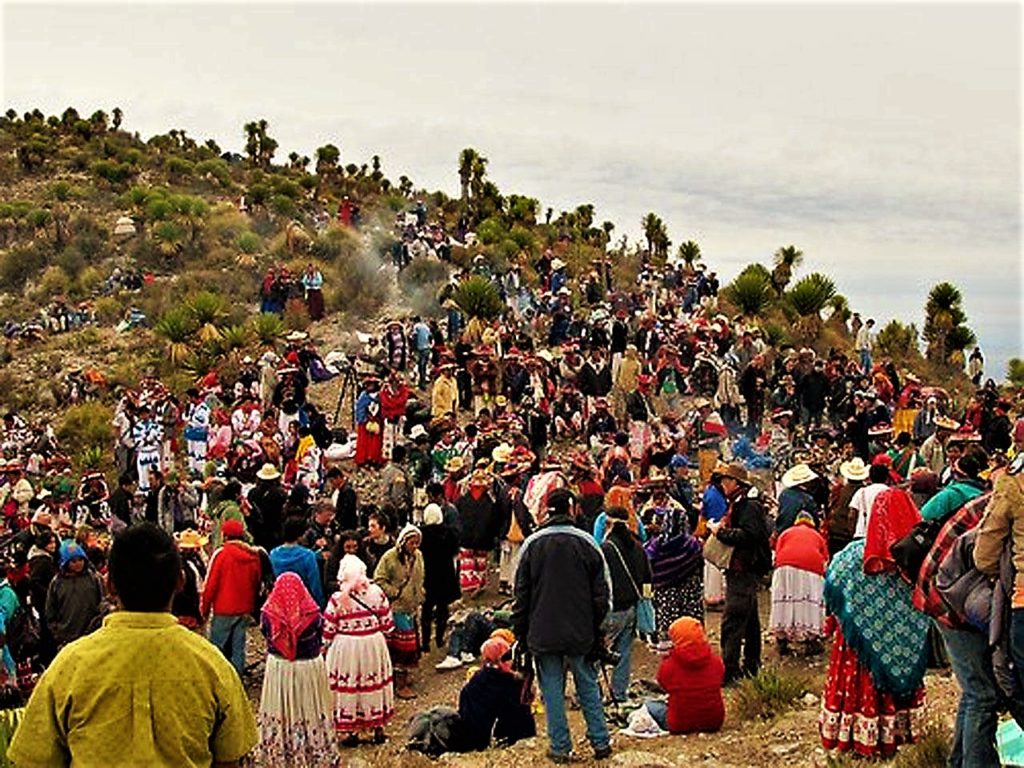 peyote pilgrimage, Huichol traditions, Wirikuta