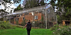 Passive-Solar Greenhouse-Wrapped Nature House in Sweden