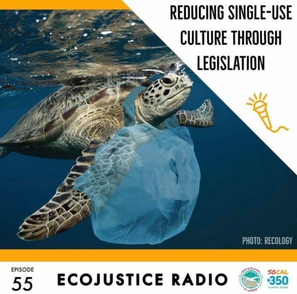 Single Use Plastics, EcoJustice Radio