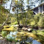 Arroyo Seco - One Arroyo Foundation