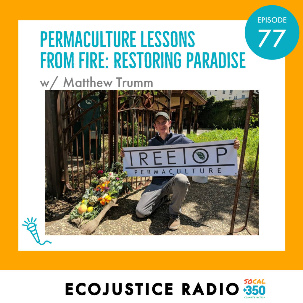 Treetop Permaculture, EcoJustice Radio, Matthew Trumm