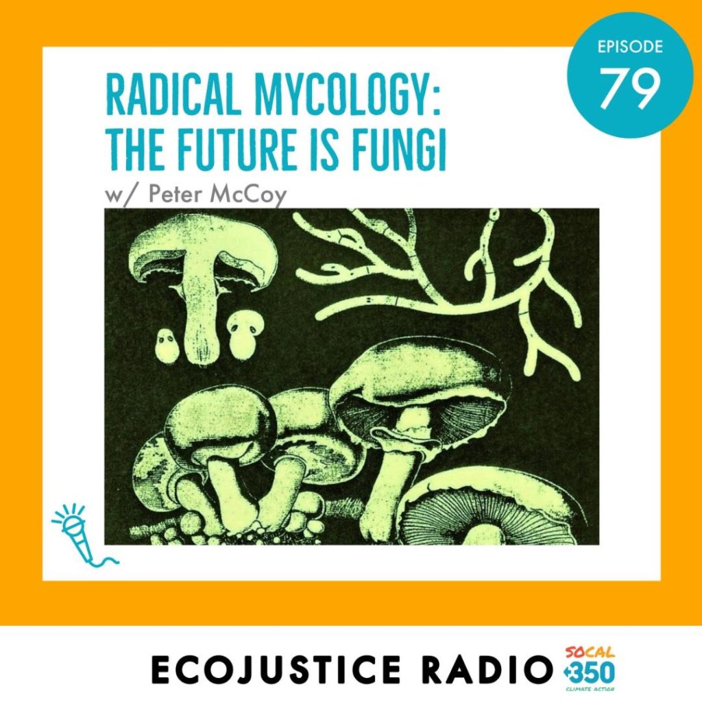 Radical Mycology, EcoJustice Radio