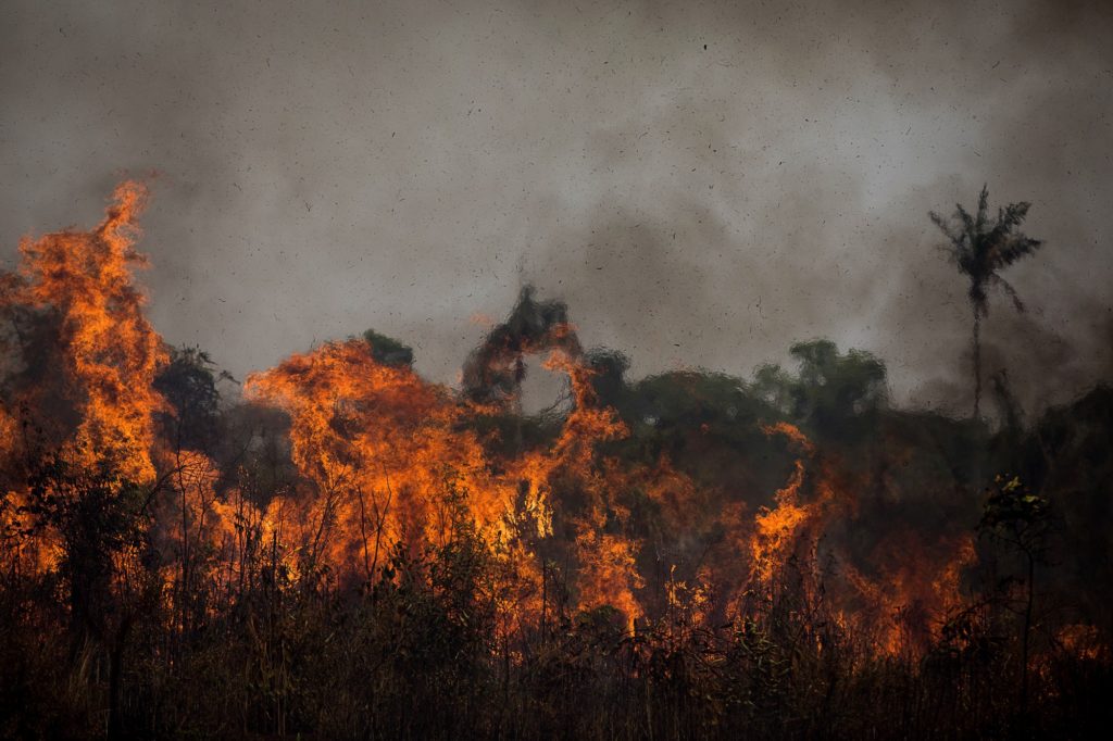 Fire in the Brazilian rainforest. Photo credit: Amazon Watch