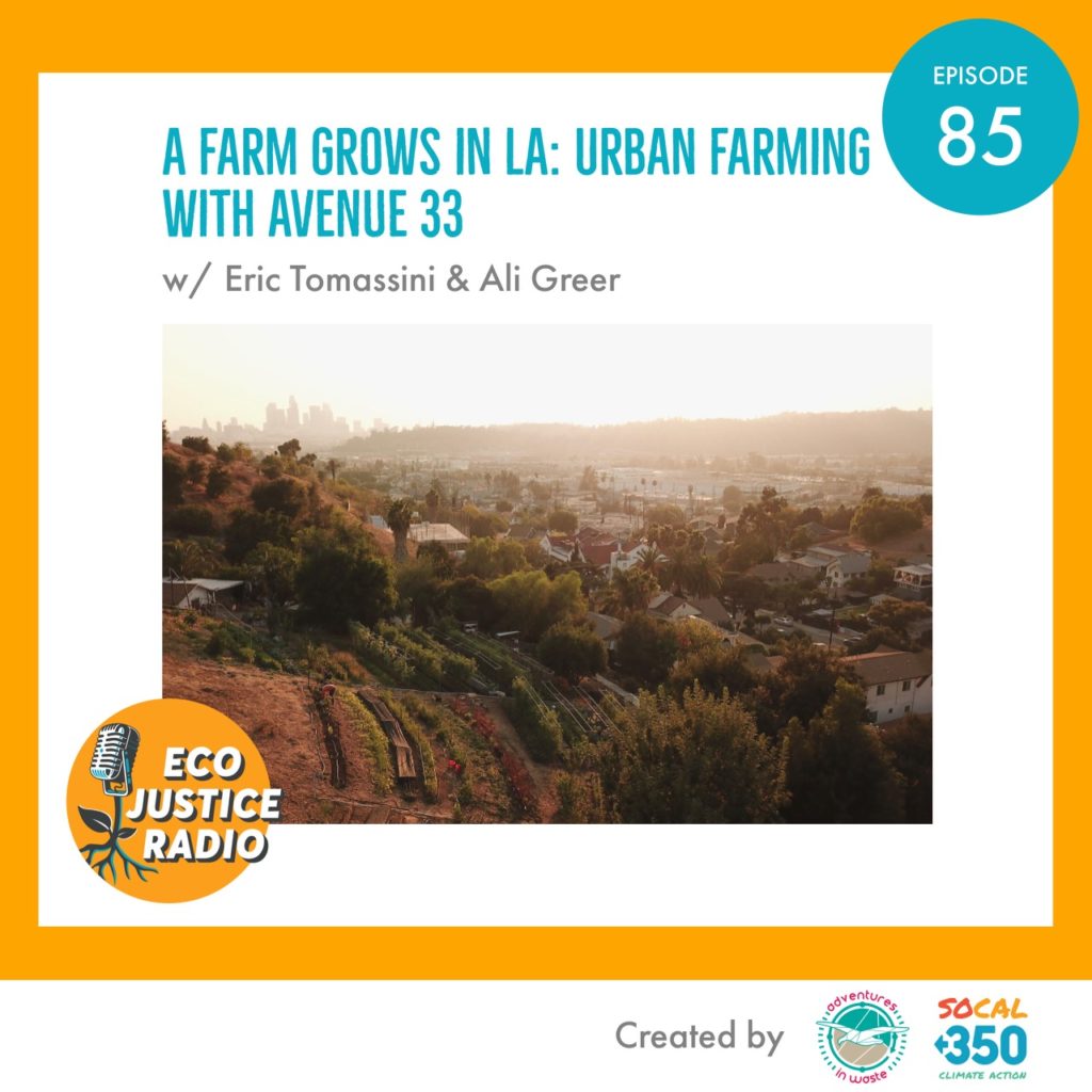 Irban Farming in LA - Avenue 33 Farm