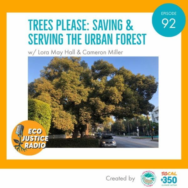 Urban Trees, EcoJustice Radio