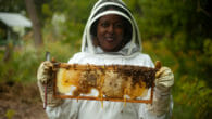 Urban bee farms of Detroit are not only rebuilding honey bee populations, they are also rebuilding the city and uplifting the community. EcoJustice Radio speaks with Detroit Hives on the work they are doing with bees and community.