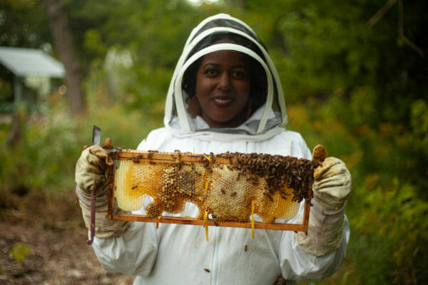 Urban Beekeeing, Detroit Hives