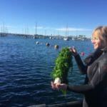 Sunken Seaweed