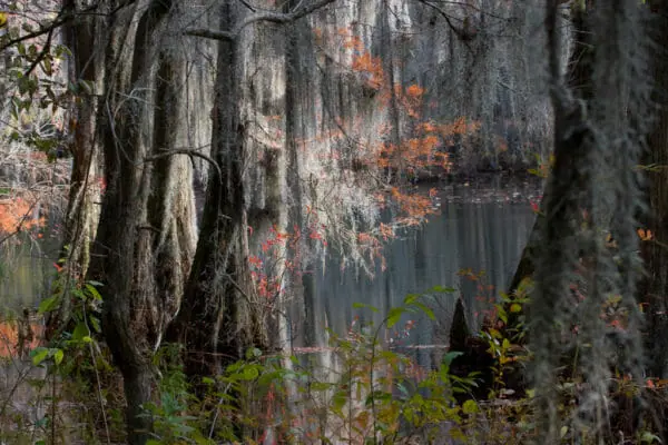 Alabama biodiversity