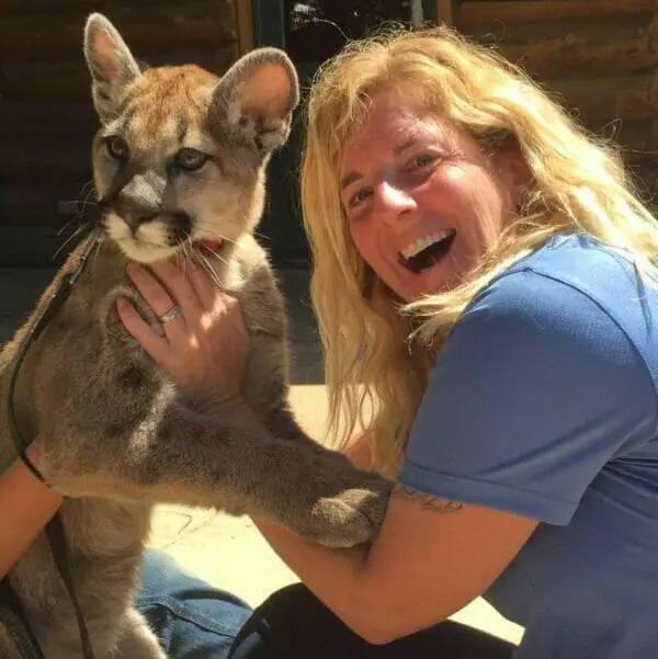 Beth Pratt, Mountain Lion