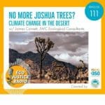 Chumash Story: Seeds of Creation and the Rainbow Bridge