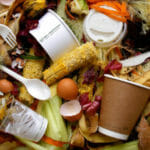 Compostable Foodware