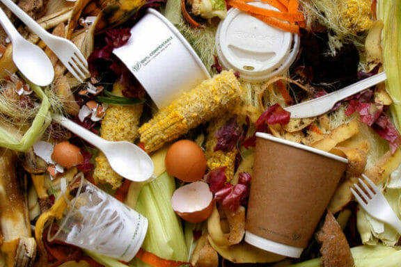 Compostable Foodware