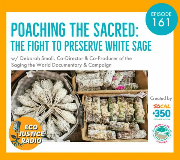 Saging the World, white sage, EcoJustice Radio