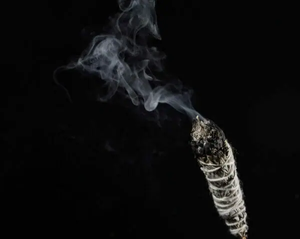 white sage bundle, Saging the world