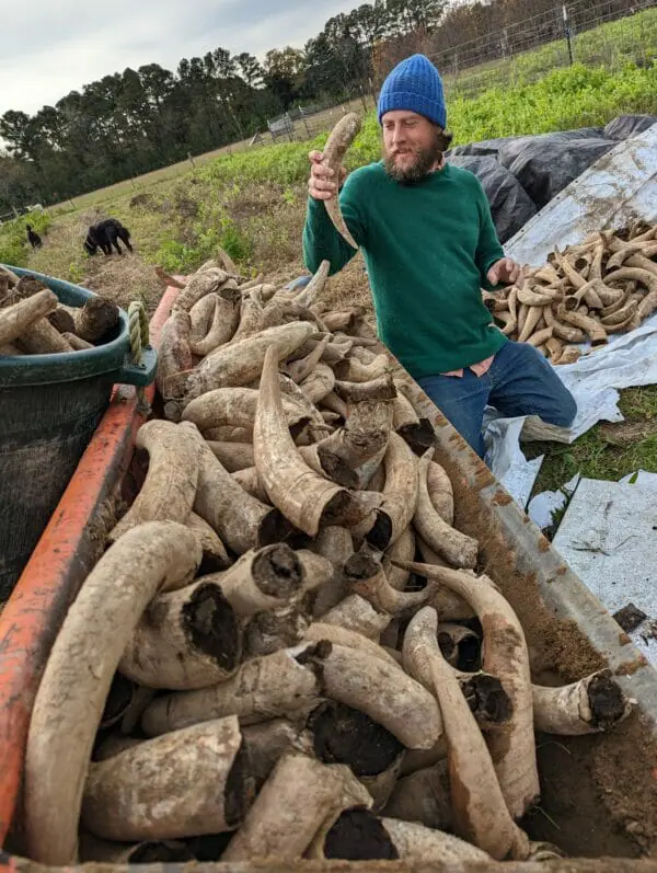 Learn more about biodynamic agriculture and food forest in