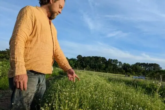 Stewart Lundy. biodynamic Agriculture