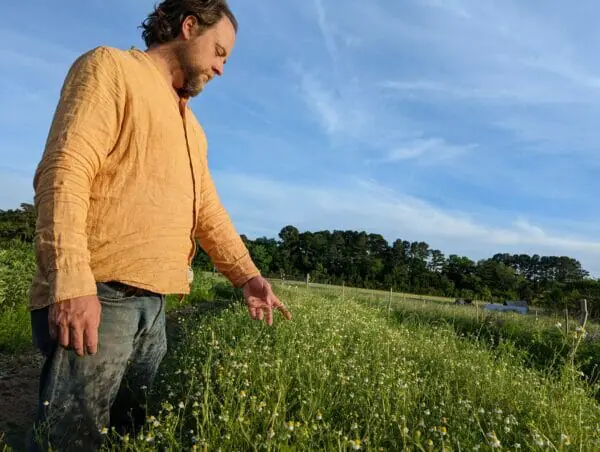 Stewart Lundy. biodynamic Agriculture