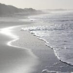 New Zealand Beach