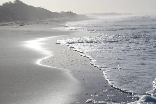 New Zealand Beach