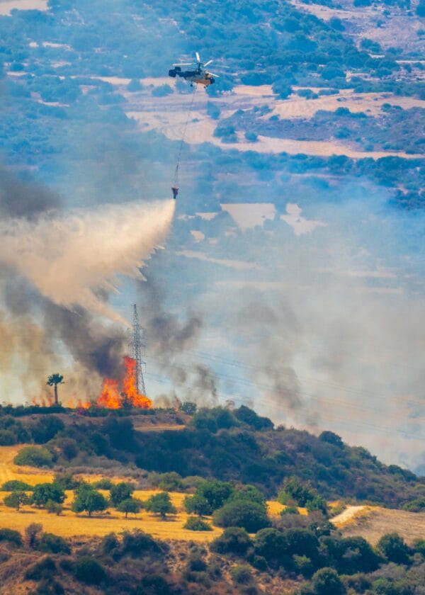 Los Angeles wildfires