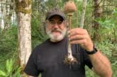 Paul Stamets
