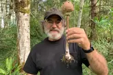 Paul Stamets