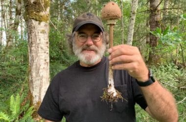 Paul Stamets