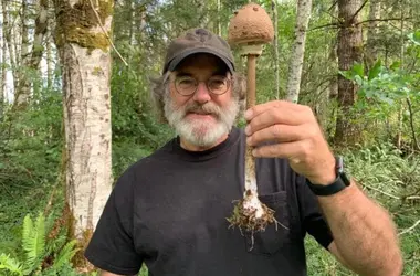 Paul Stamets